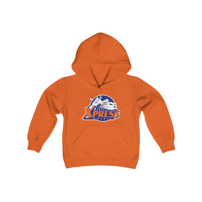 Arctic Xpress Hoodie (Youth)
