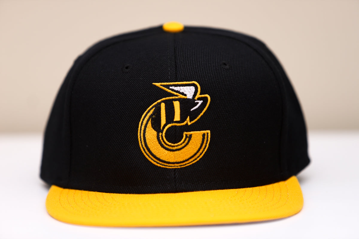 Cincinnati Stingers Hat (Snapback)