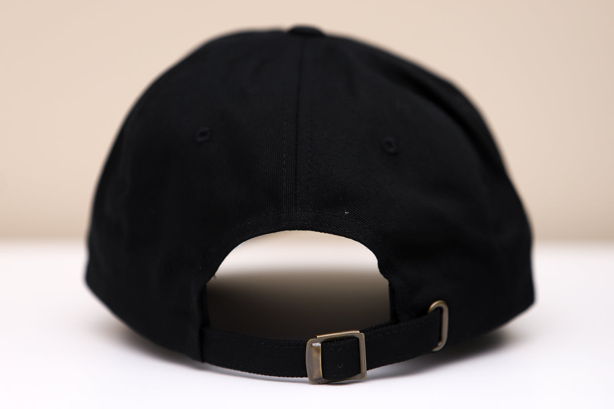 Cincinnati Stingers Hat
