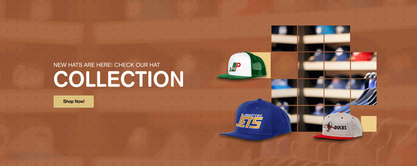 Nhl shop dad hats