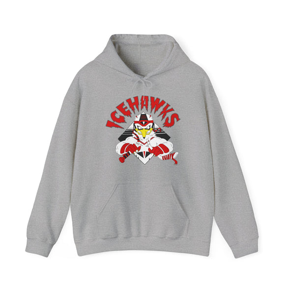 Adirondack IceHawks / Winston-Salem IceHawks Hoodie