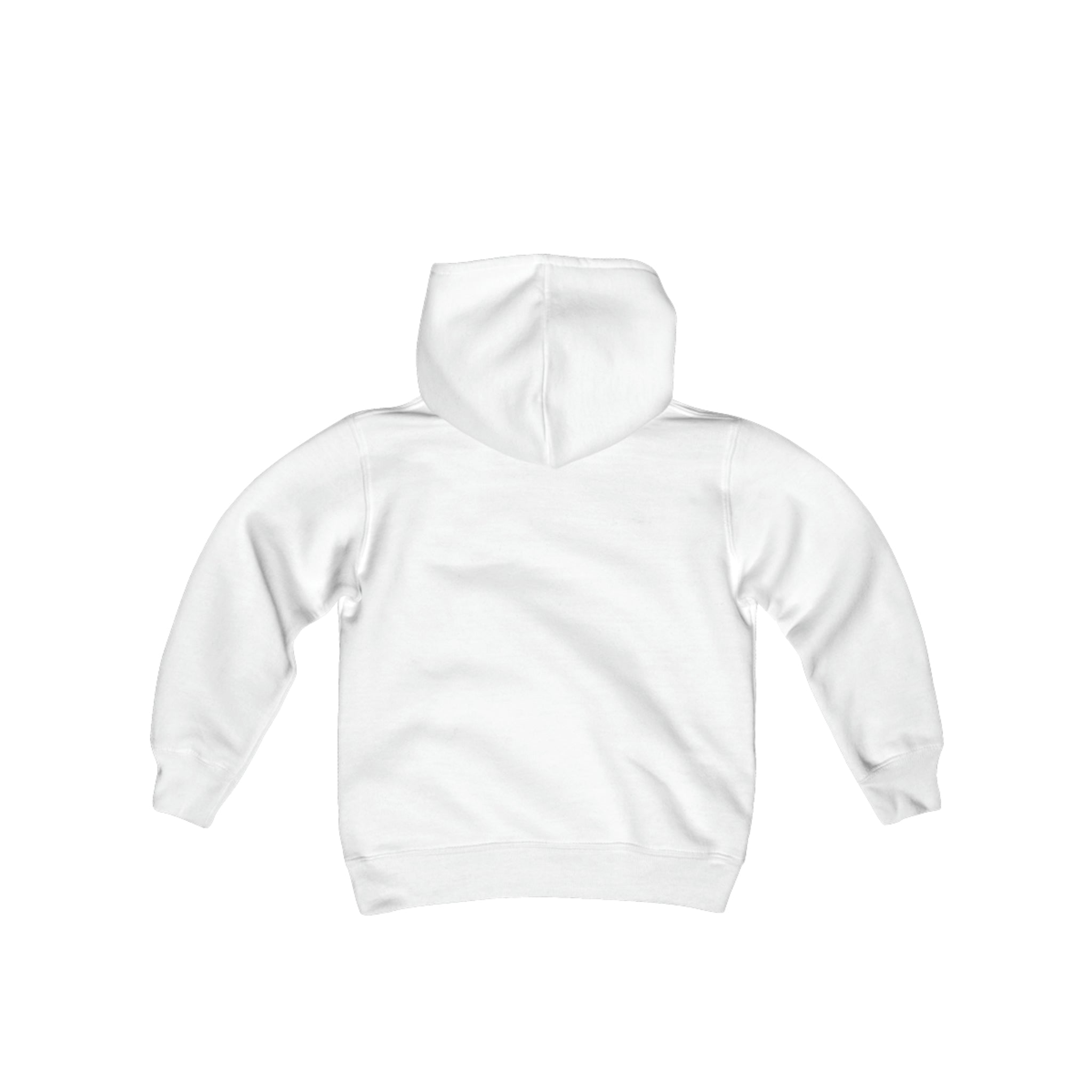 Worcester IceCats Hoodie (Youth)
