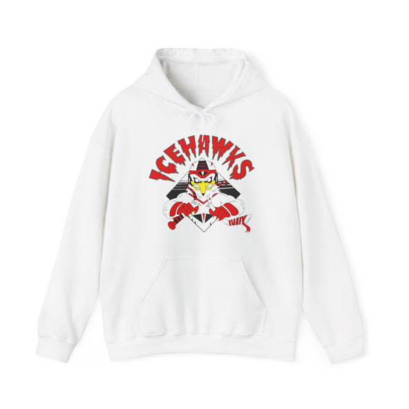 Adirondack IceHawks / Winston-Salem IceHawks Hoodie