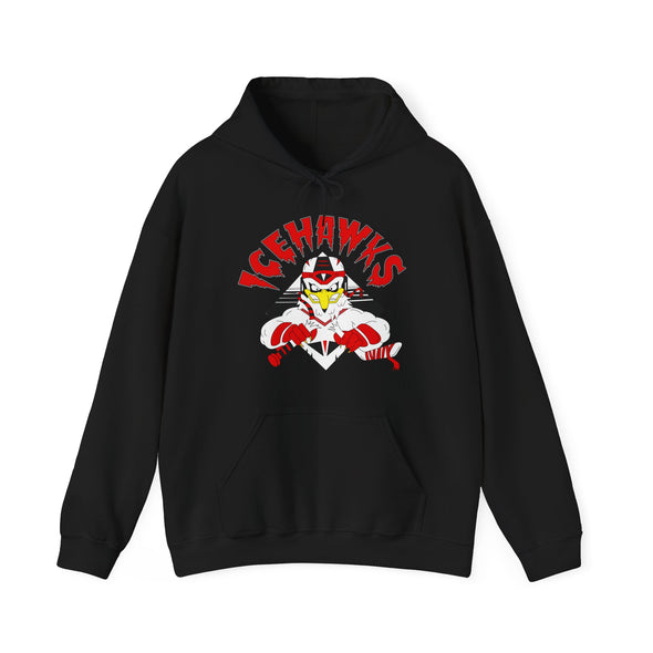 Adirondack IceHawks / Winston-Salem IceHawks Hoodie