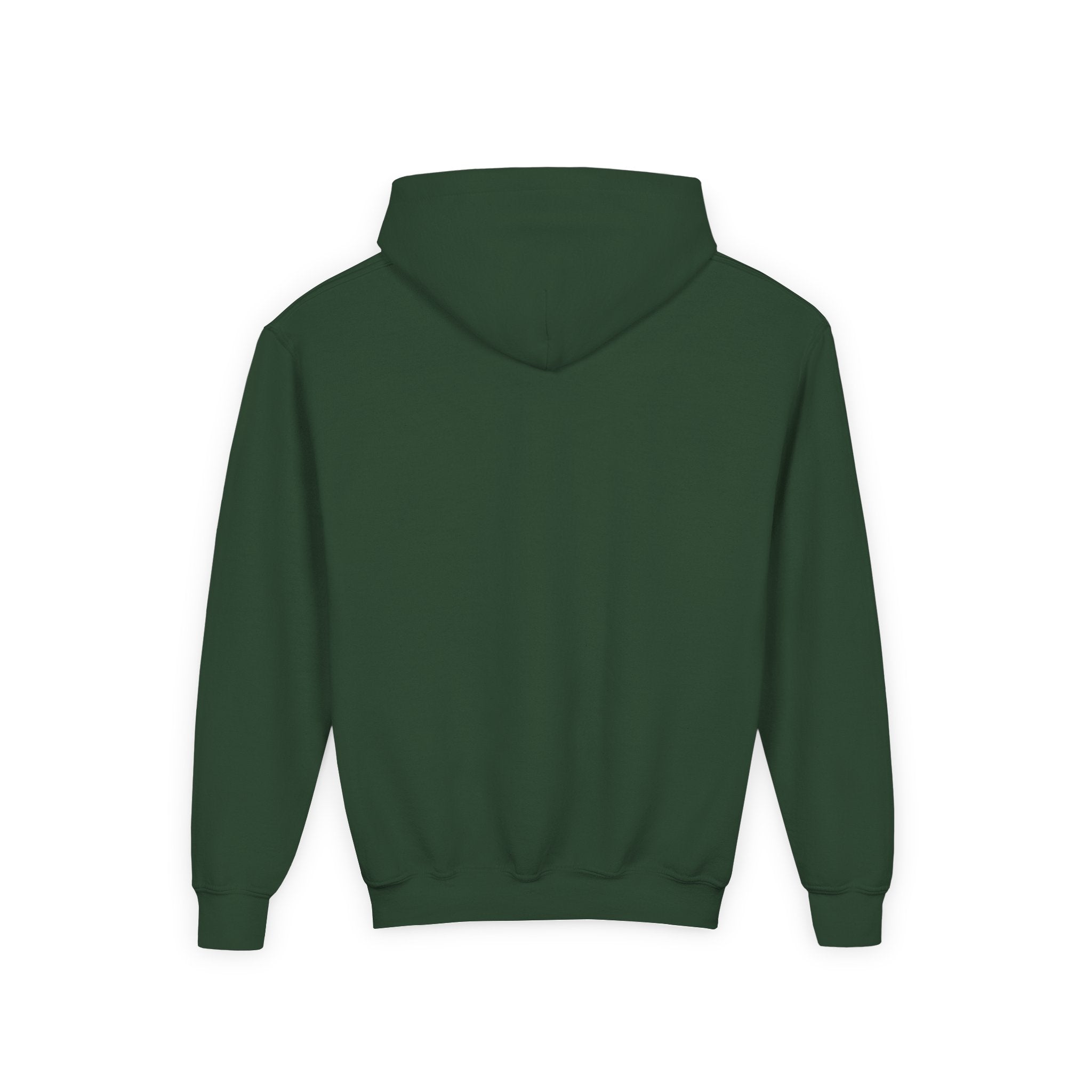 Houston Aeros 1990s Hoodie (Youth)