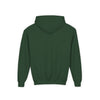 Houston Aeros 1990s Hoodie (Youth)