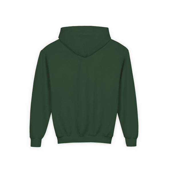 Houston Aeros 1990s Hoodie (Youth)