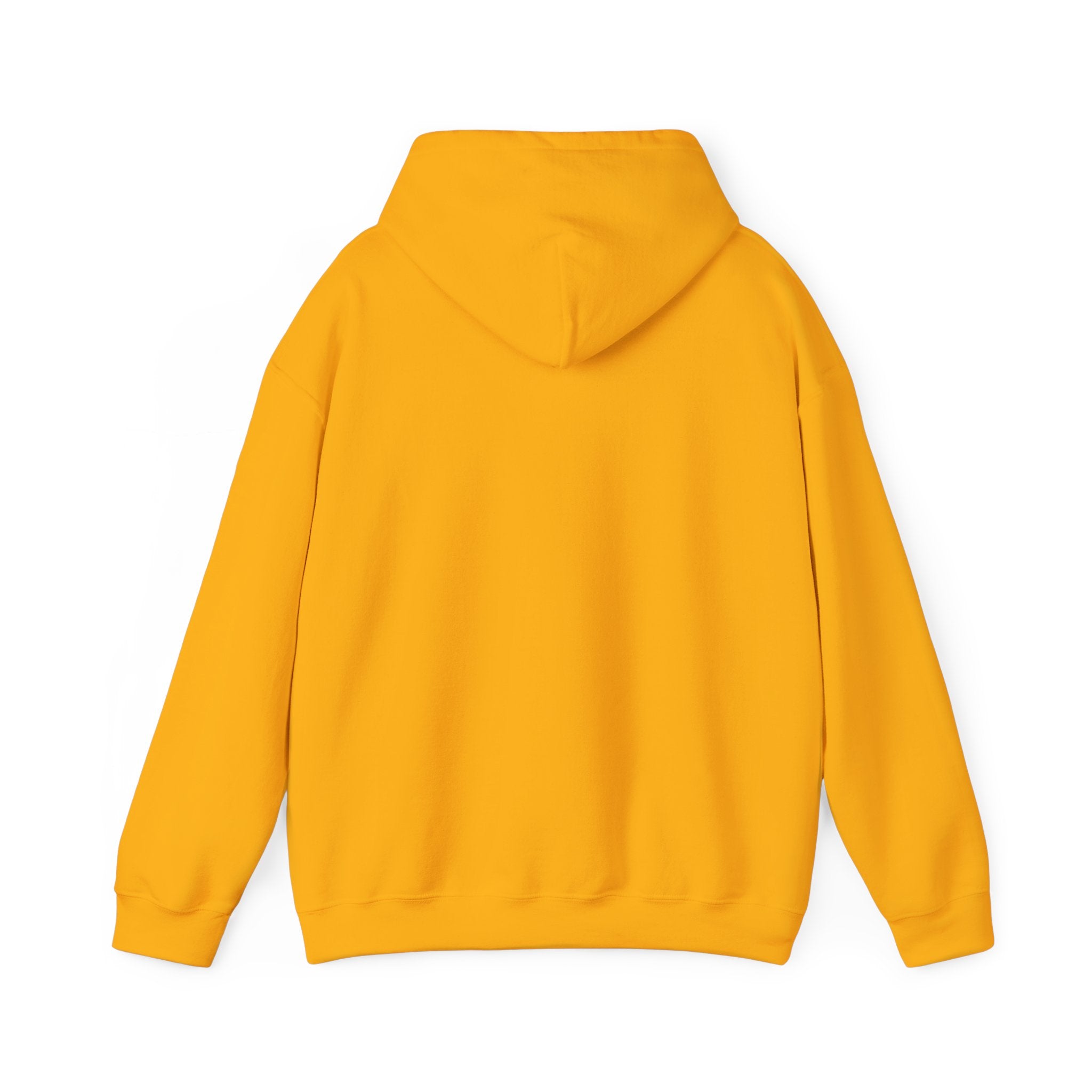 Memphis RiverKings 1990s Style Hoodie