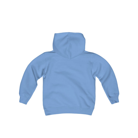 Port Huron Flags Hoodie (Youth)