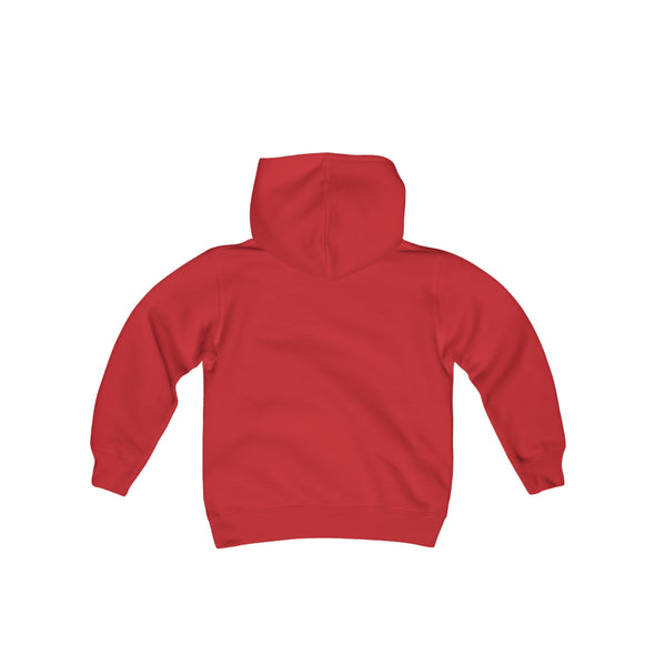Port Huron Flags Hoodie (Youth)