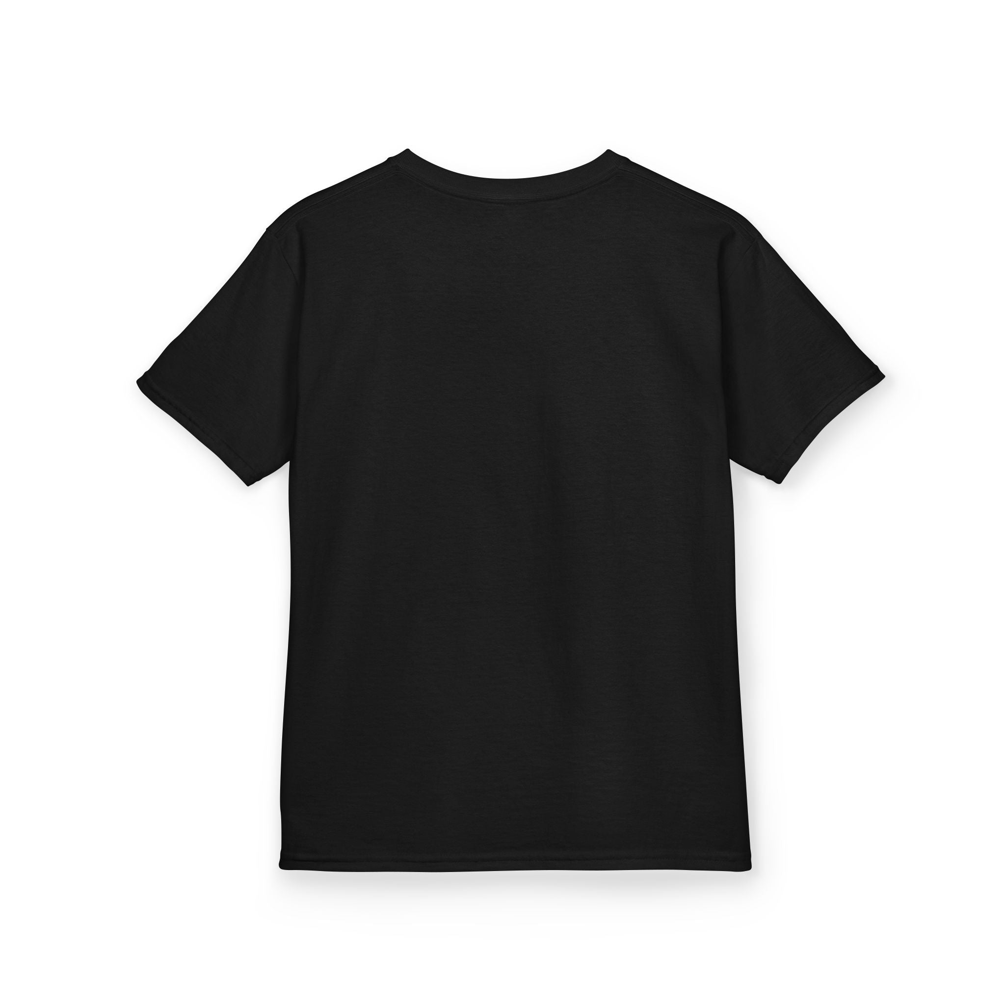 Niagara Falls Flyers T-Shirt (Youth)
