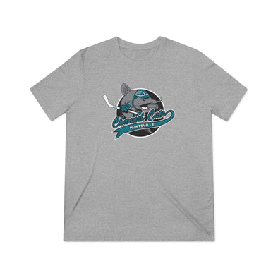 Huntsville Channel Cats T-Shirt (Tri-Blend Super Light)