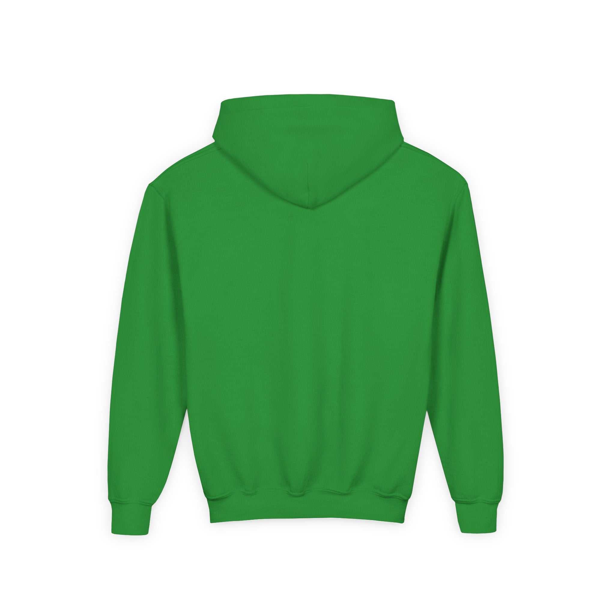 Houston Aeros 1990s Hoodie (Youth)