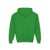 Houston Aeros 1990s Hoodie (Youth)