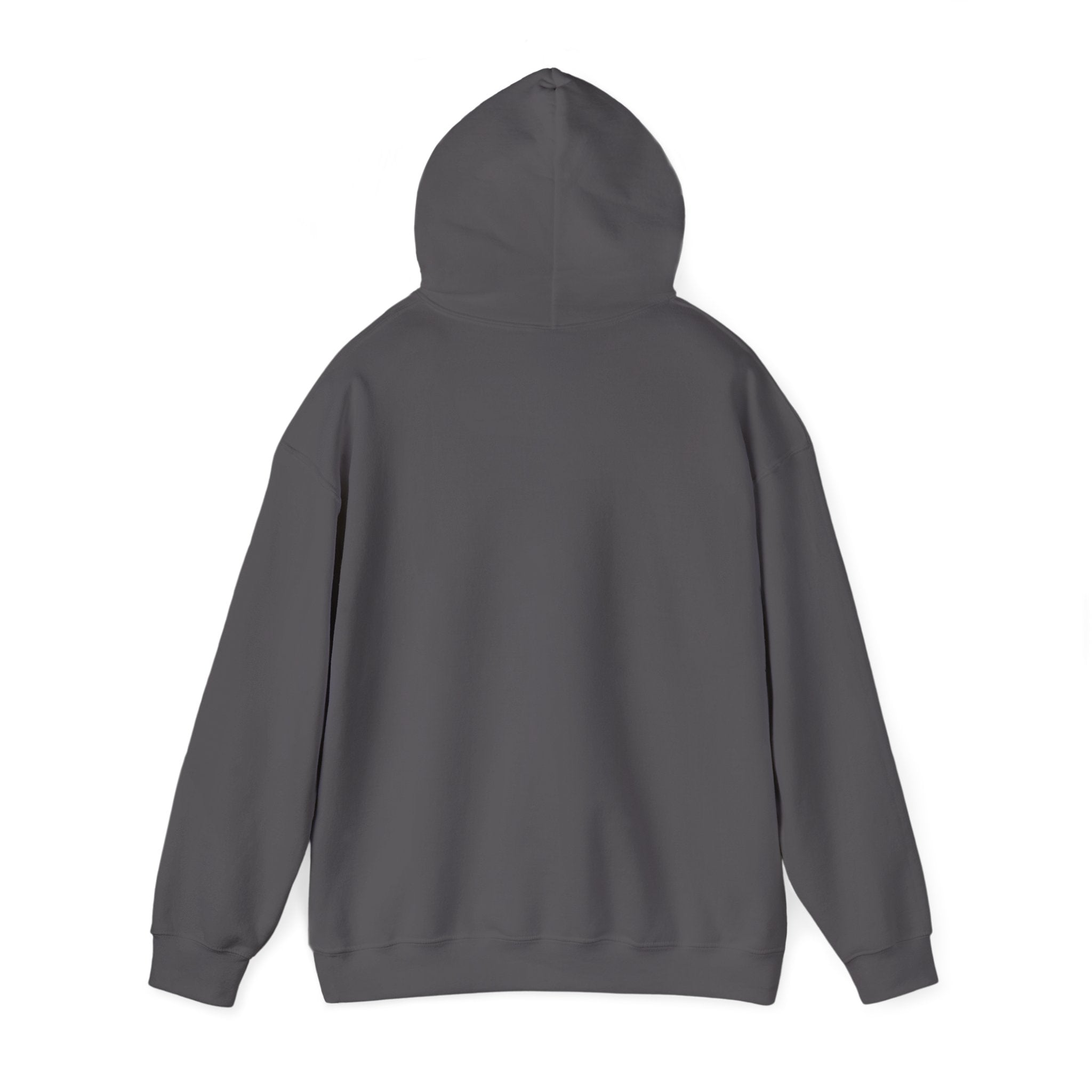 Memphis RiverKings 1990s Style Hoodie