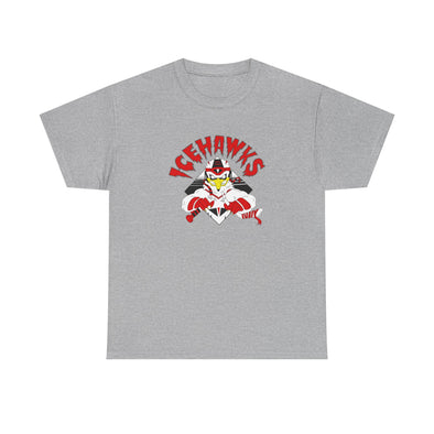 Adirondack IceHawks / Winston-Salem IceHawks T-Shirt