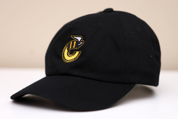 Cincinnati Stingers Hat