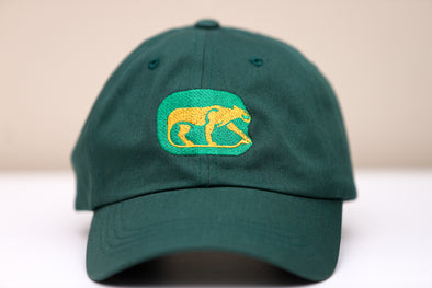 Chicago Cougars Hat