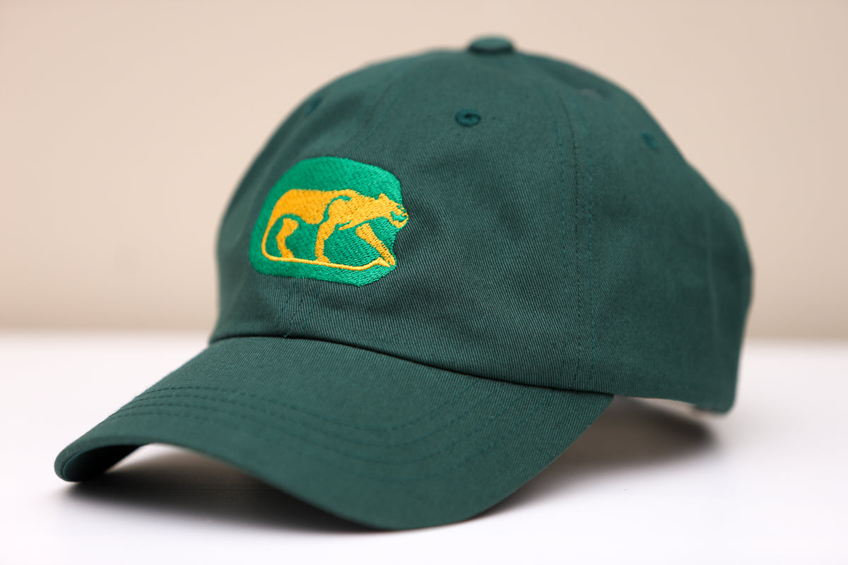 Chicago Cougars Hat