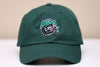 Houston Aeros 1990s Hat