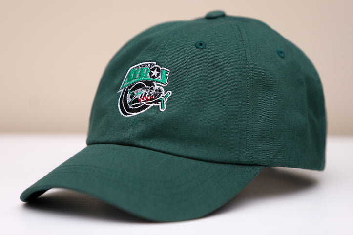 Houston Aeros 1990s Hat