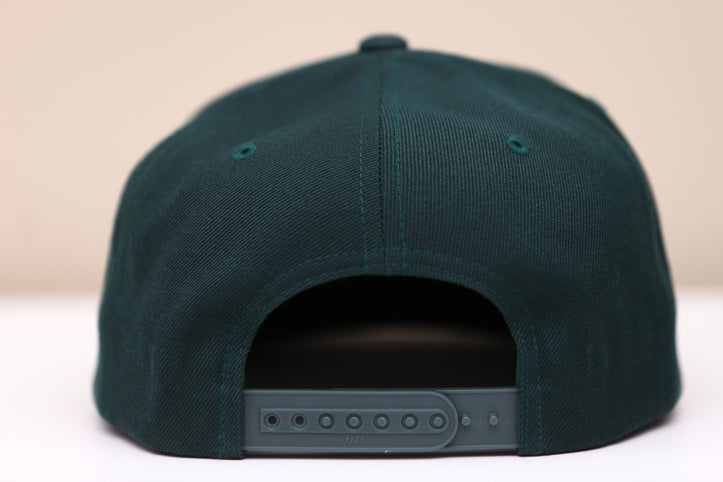 Houston Aeros 1990s Hat (Snapback)