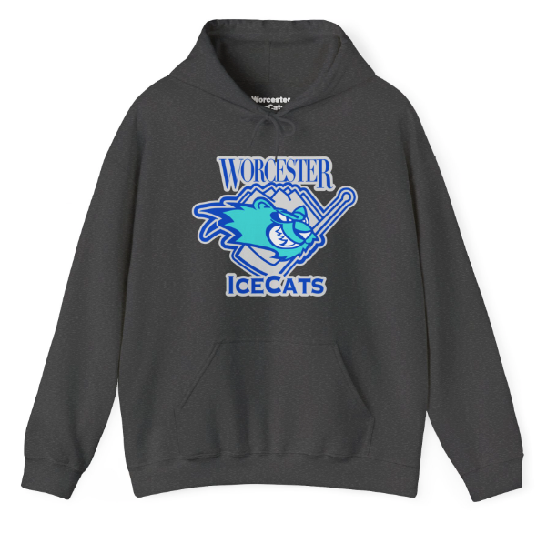 CLEARANCE Worcester IceCats Hoodie (M)