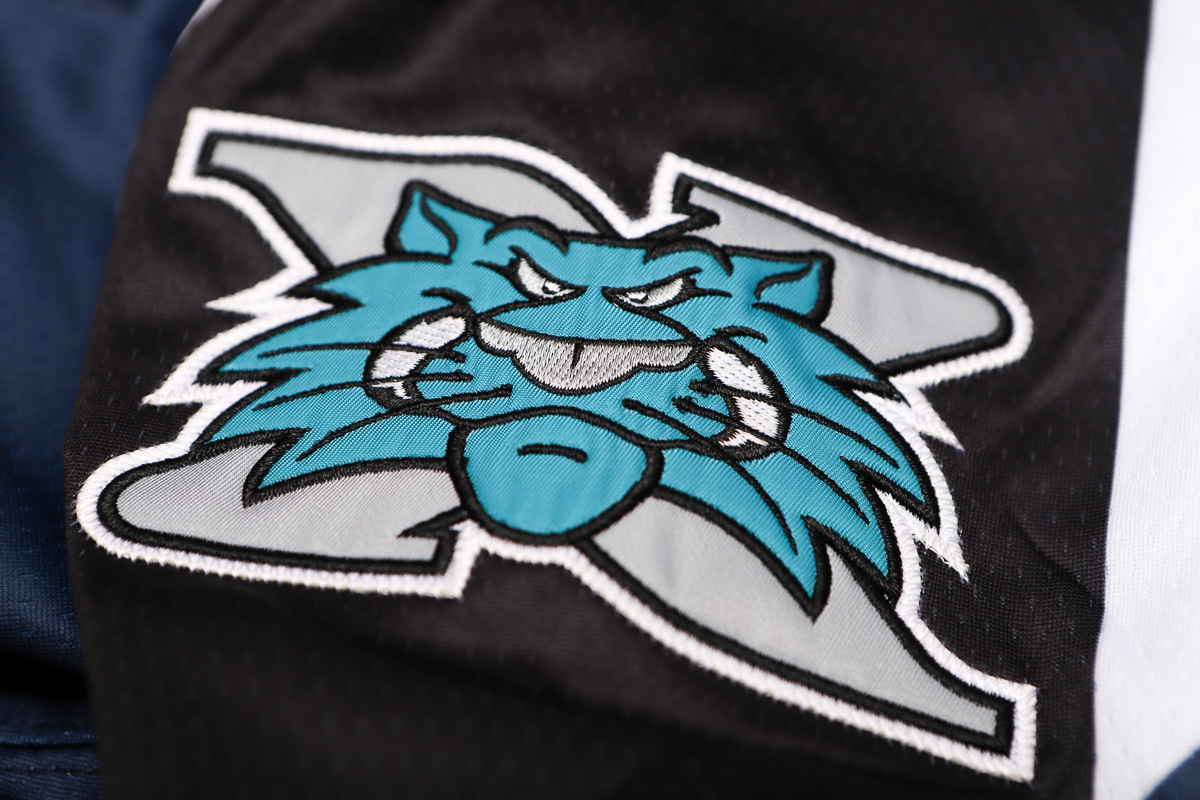 Worcester IceCats 2003-04 Replica Jersey (BLANK - PRE ORDER)