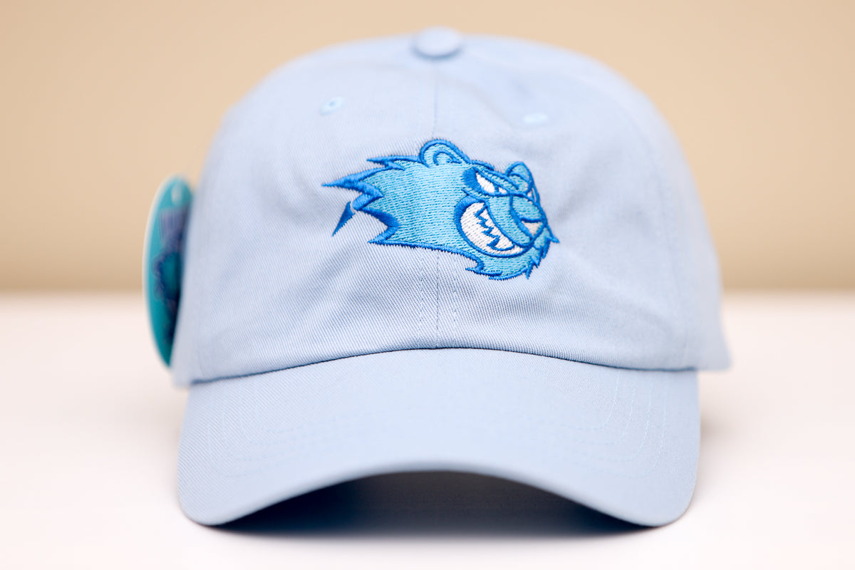 Worcester IceCats Hat