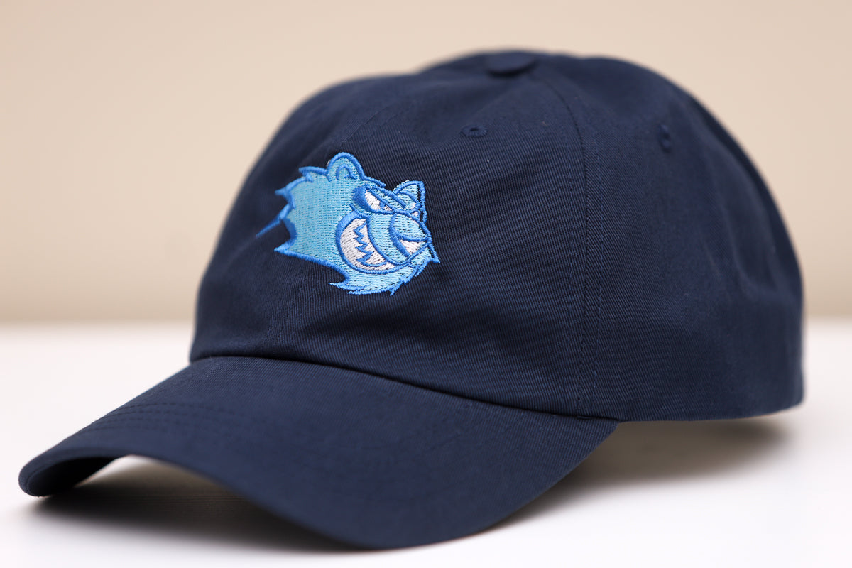 Worcester IceCats Hat