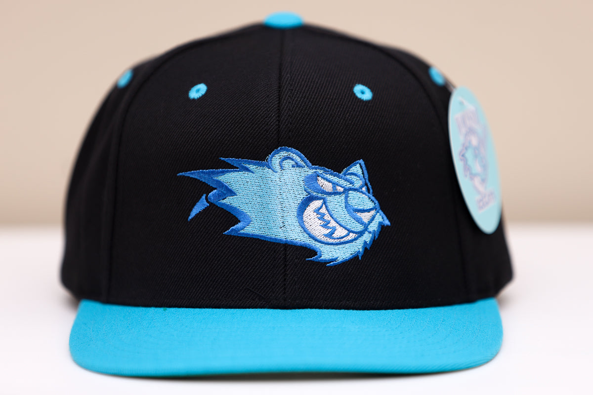 Worcester IceCats Hat (Snapback)