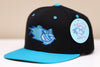 Worcester IceCats Hat (Snapback)