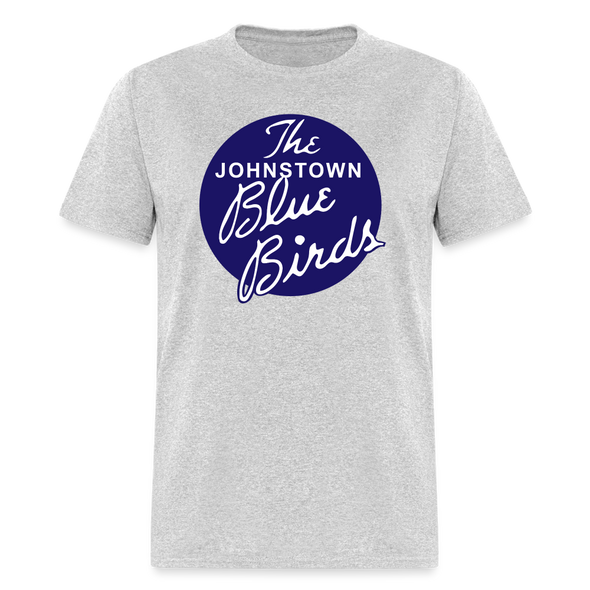 Johnstown Blue Birds T-Shirt - heather gray