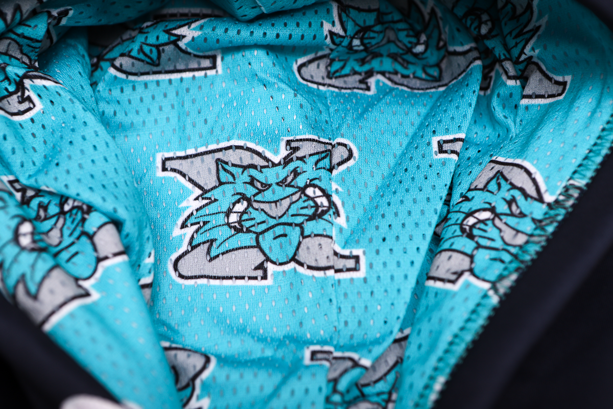 Worcester IceCats Black Performance Hoodie