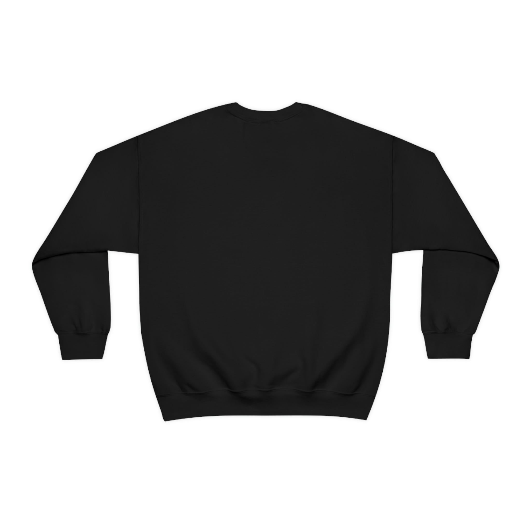 Houston Aeros 1990s Crewneck Sweatshirt