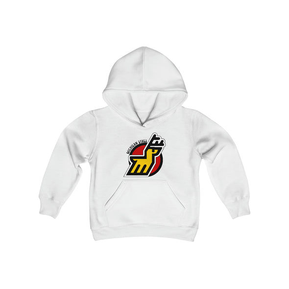 Michigan Stags Hoodie (Youth)