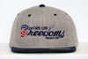 Cape Cod Freedoms Hat (Snapback)