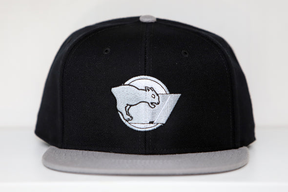 Erie Panthers Hat (Snapback)