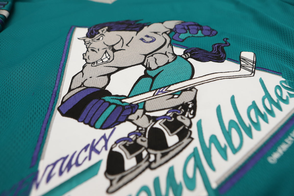 Nashville Dixie Flyers Retro Ice Hockey Jersey Mens Stitched Custom Any  Number And Name Jerseys From Yufan4, $41.45