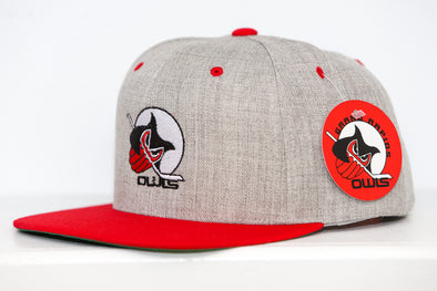 Grand Rapids Owls™ Hat (Snapback)