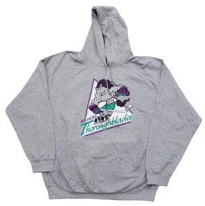 Kentucky Thoroughblades™ Hoodie in grey with retro teal and purple hockey logo and front pocket hooded sweatshirt design