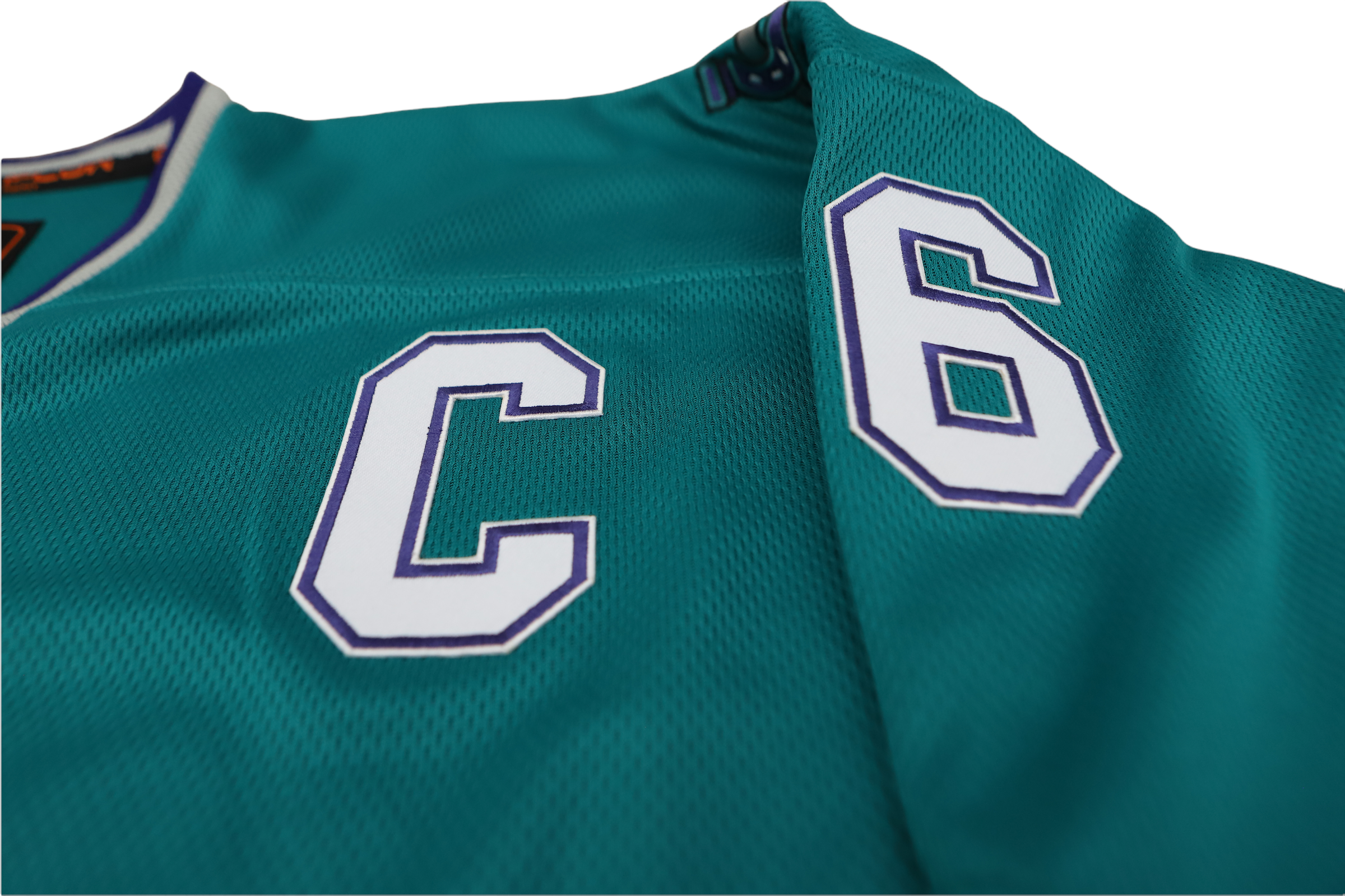 Charlotte Checkers will wear teal Hornets jerseys on Nov. 29