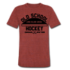 Long Island Arena T-Shirt (Tri-Blend Super Light) - heather cranberry