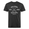 Raleigh IceCaps T-Shirt (Premium Tall 60/40) - heather black